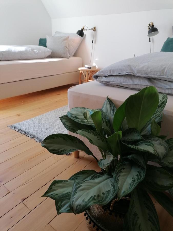 Villa WÄLDER: Quartier Haus im Glück St. Blasien Exterior foto